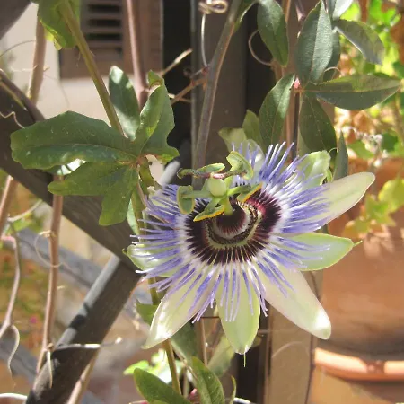 Couette-café Giusy Syracuse